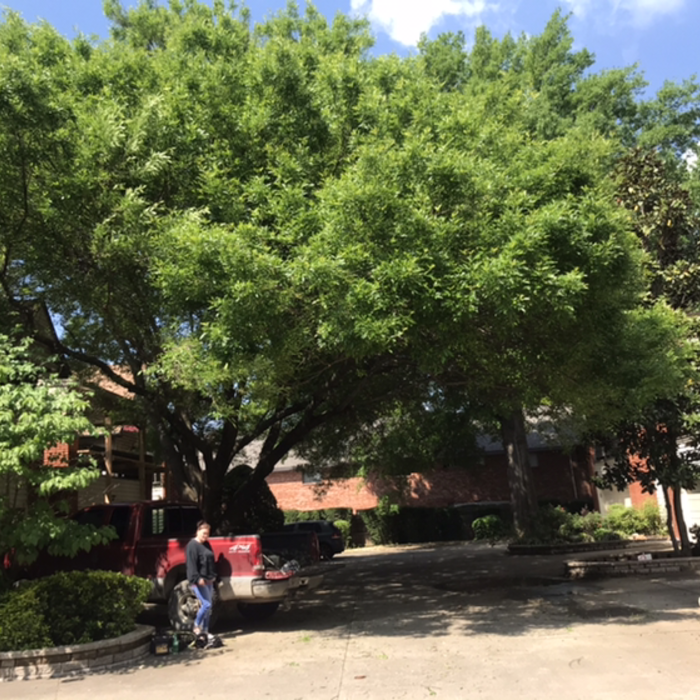 Additional Photos