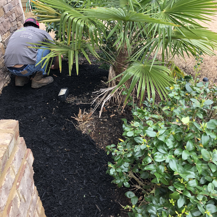 Additional Photos