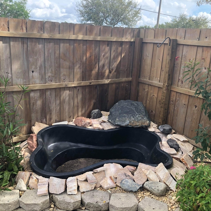 Additional Photos