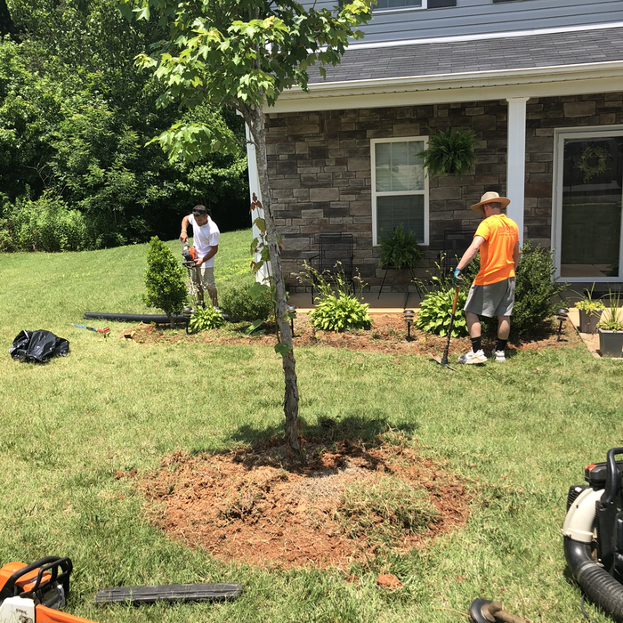 Additional Photos