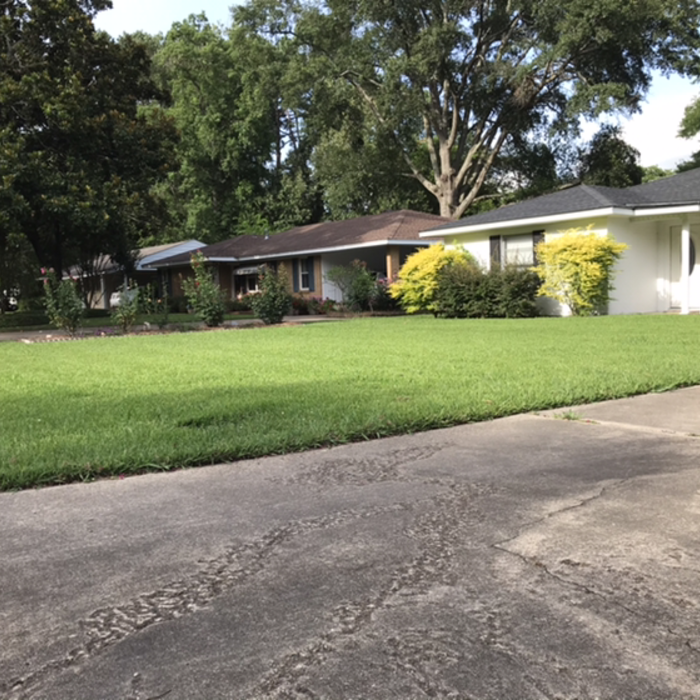 Additional Photos