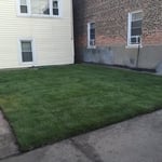 Sod Installation