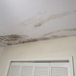 Mold Remediation Project