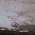 Mold Remediation Project