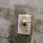 Mold Remediation Project