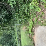 It’s a jungle out there!