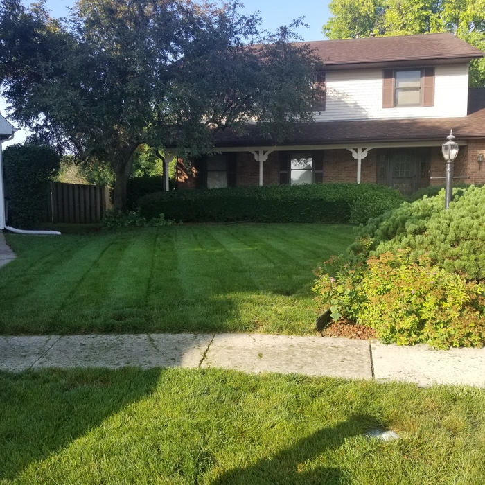 Additional Photos