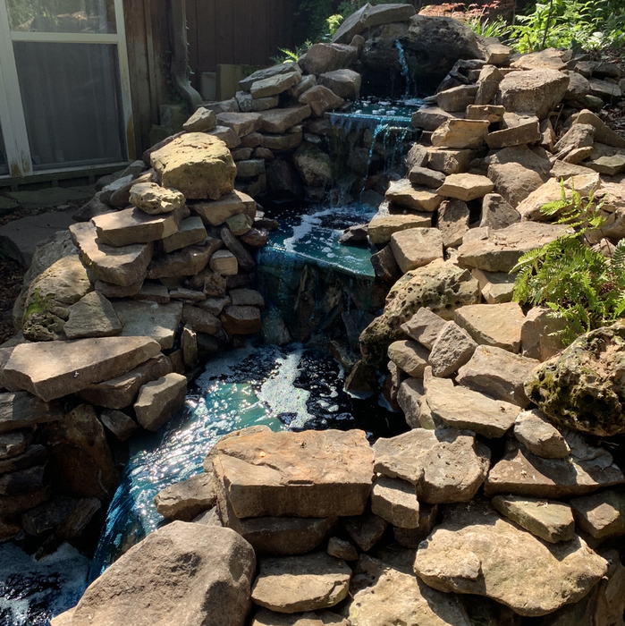 Additional Photos