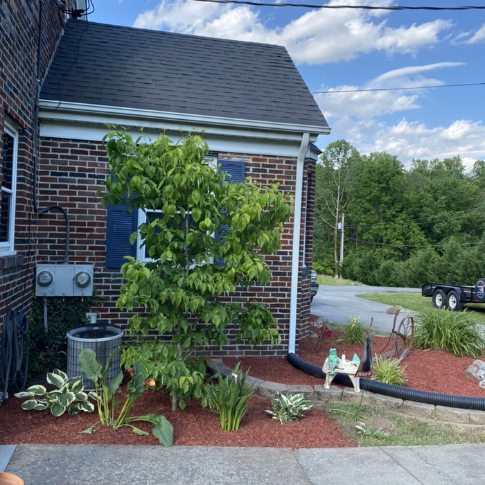 Additional Photos