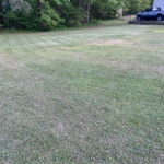 lawn mow