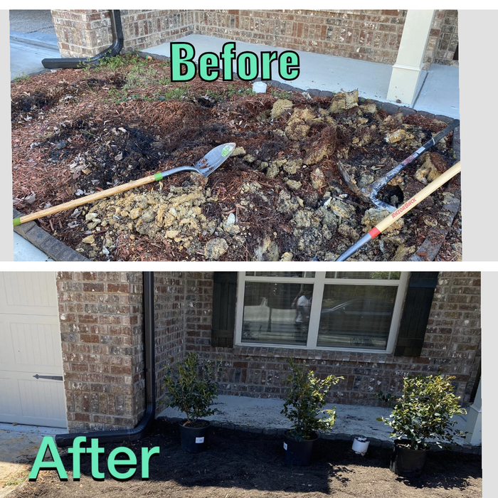 Additional Photos