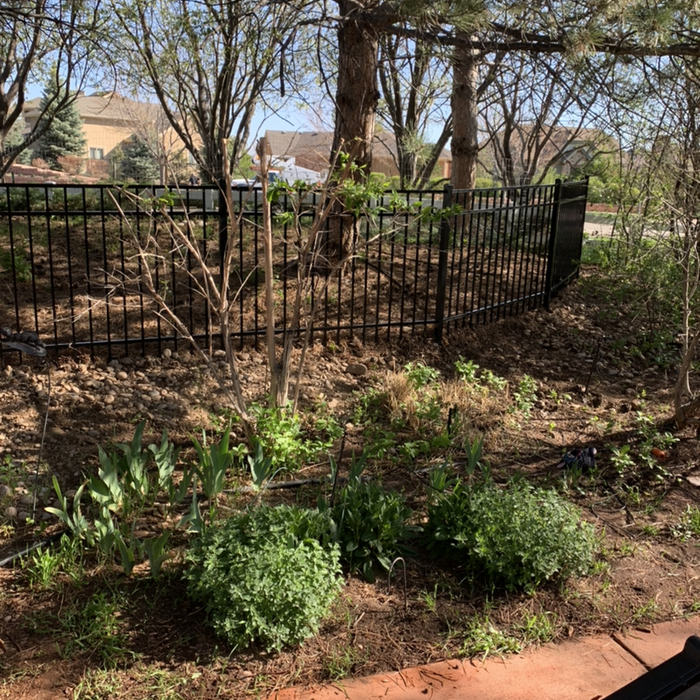 Additional Photos