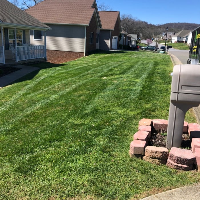 Additional Photos