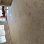 Carpet removal and engineered wood installed