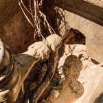 BEFORE: Line leaking at meter, water collecting in yard.