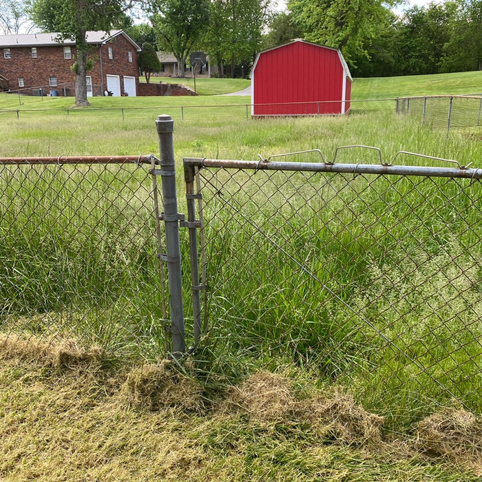Additional Photos