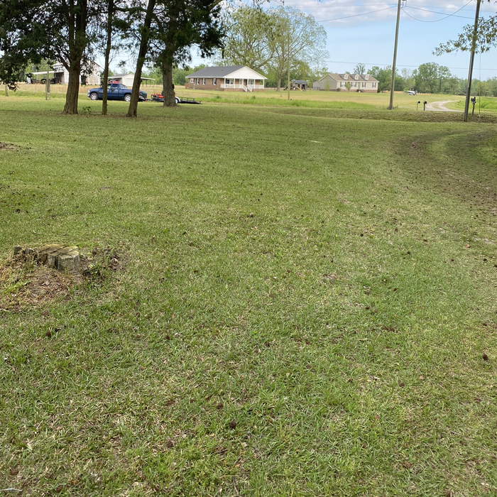 Additional Photos