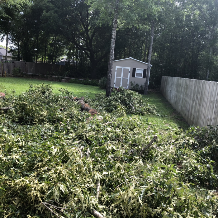 Additional Photos