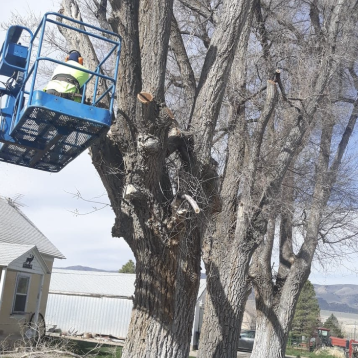 Additional Photos