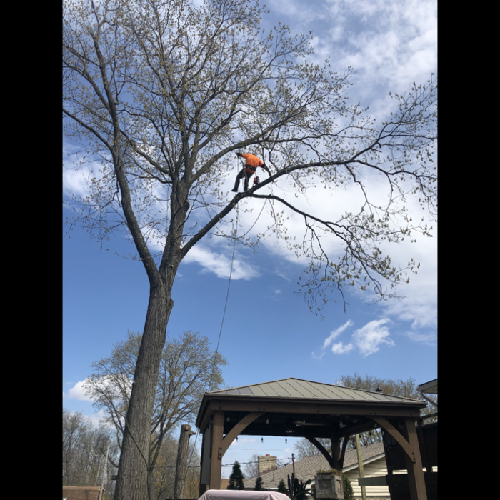 Additional Photos