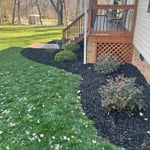 mulch