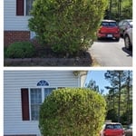 Additional Photos