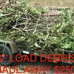 Removed tree trimmings, and hauled away for proper disposal.