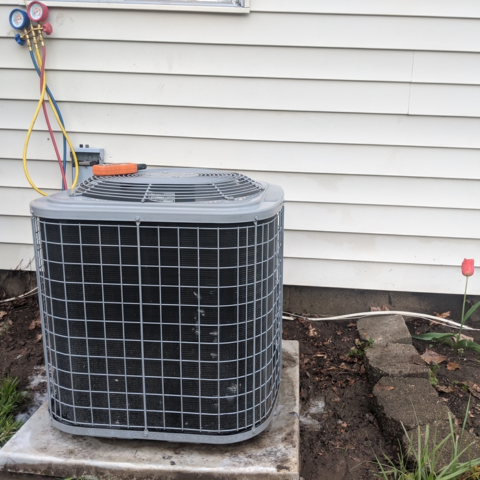 Additional Photos