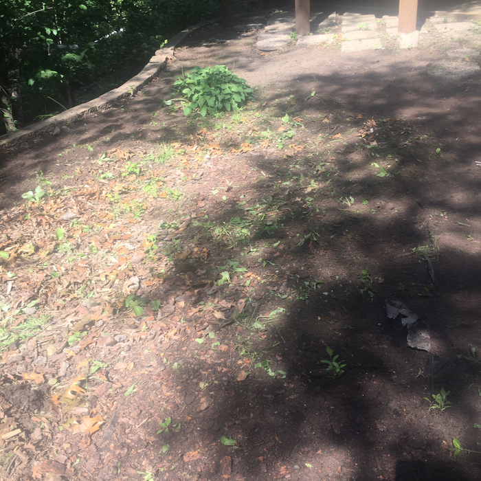 Additional Photos