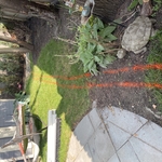 Drain system