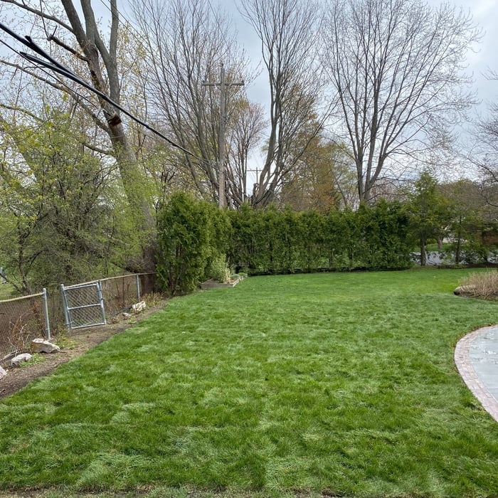 Sod installation