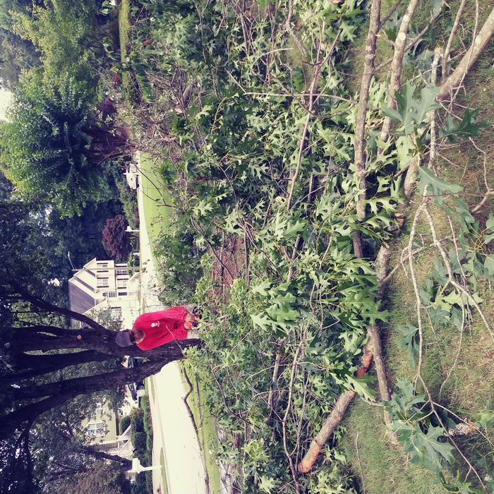Additional Photos