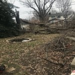 Tree Service Project