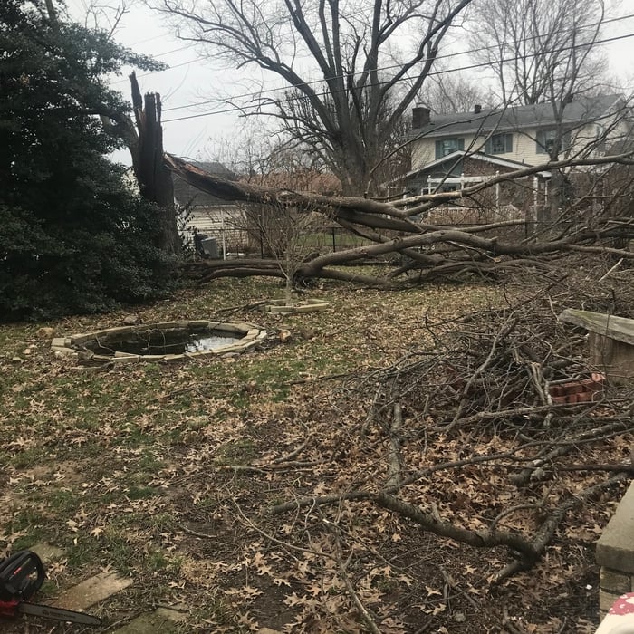 Tree Service Project