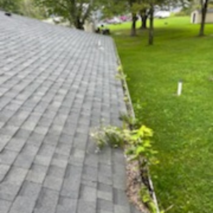 Landscaping & gutter cleaning