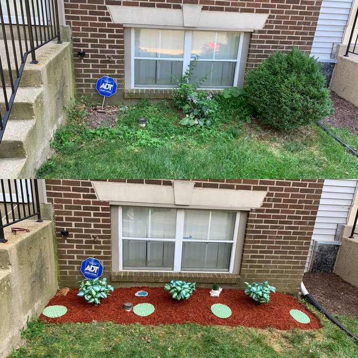 Additional Photos