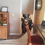 Set Up Drop Cloths to protect customer's carpet