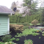 Clean the lawn first then added top soil.