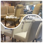 Dining Room Chairs (6)