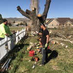Additional Photos