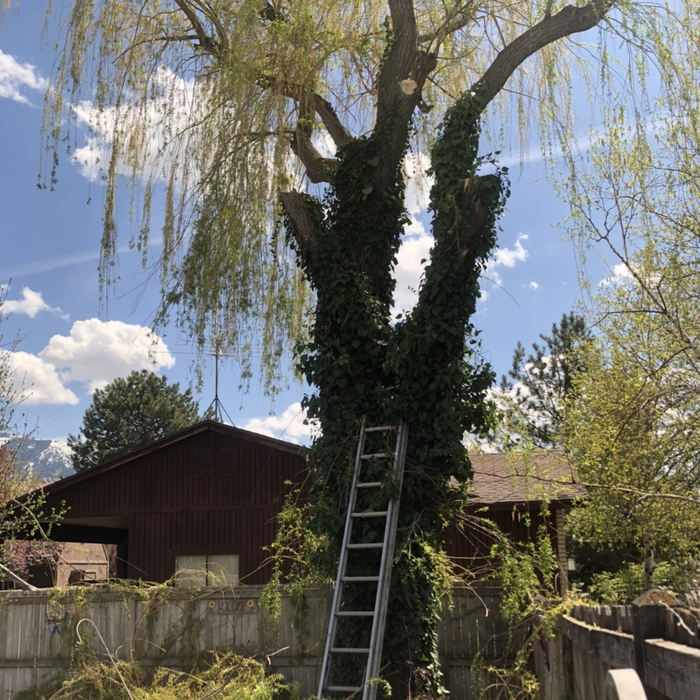 Additional Photos