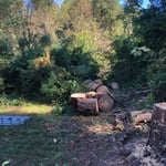 Tree Service Project