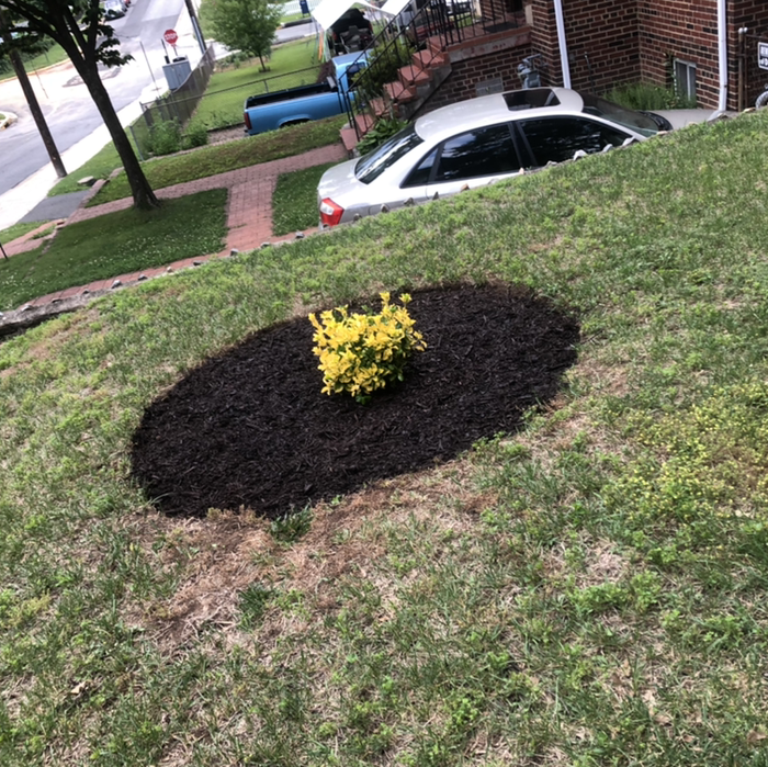 Additional Photos