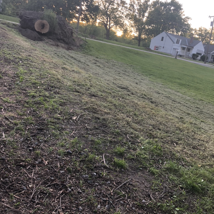 Additional Photos