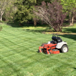 Aeration and Overseeding