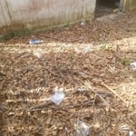 Clean up