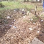 Clean up