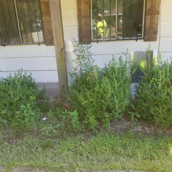 Additional Photos