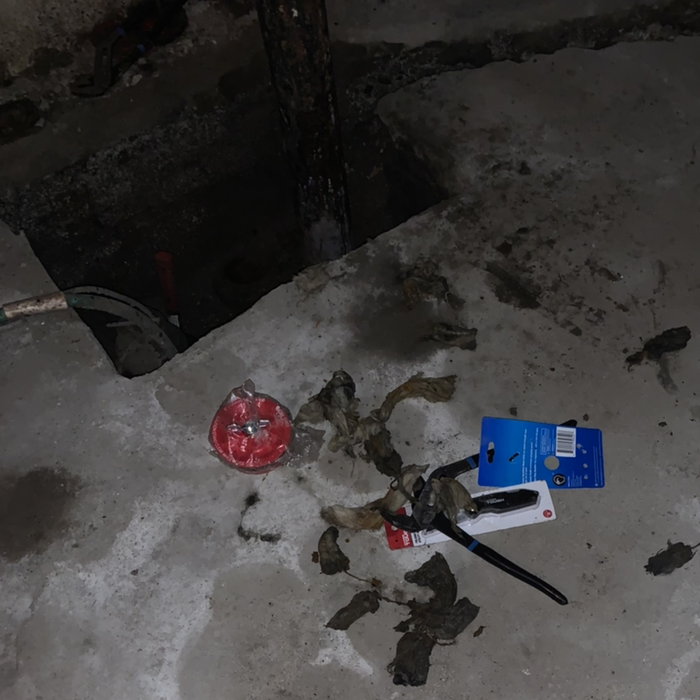 Additional Photos