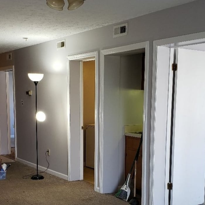 Doors,trim and cieling freshly painted